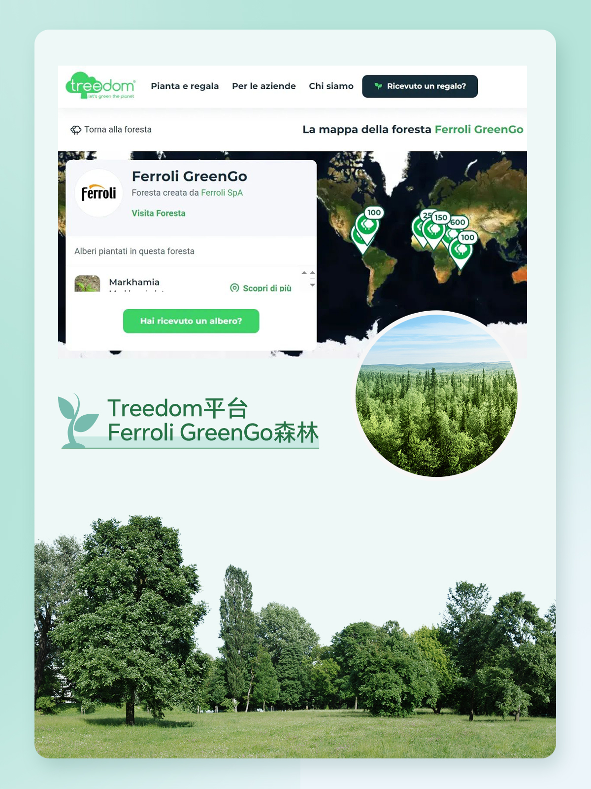 mg不朽情缘·(中国)官方网站